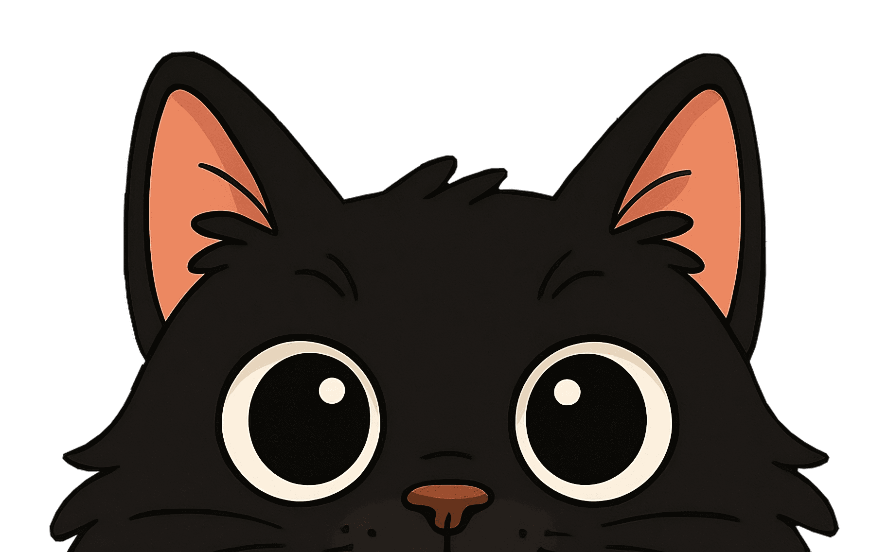 confusedCat